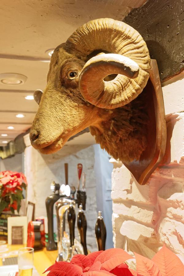 Rams Head Inn Dolton Buitenkant foto